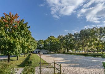 Polo Park Tiam Impressionen