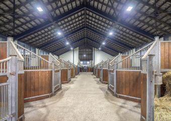 Polo Park Tiam Impressionen