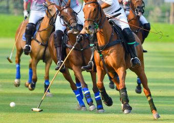 Polo Park Tiam Impressionen