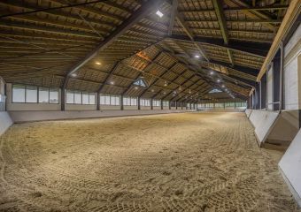 Polo Park Tiam Impressionen