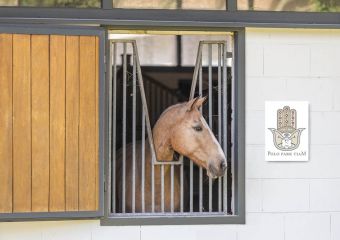 Polo Park Tiam Impressionen