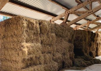 Polo Park Tiam Impressionen