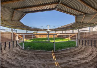 Polo Park Tiam Impressionen