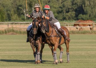 Polo Park Tiam Treffpunkt für Polosport-Begeisterte, Polo-Turniere & Polopferde